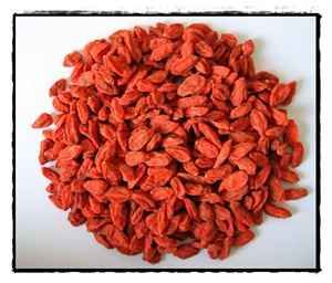 goji_bogyo_2.jpg