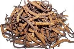 images_2hernyog.jpg