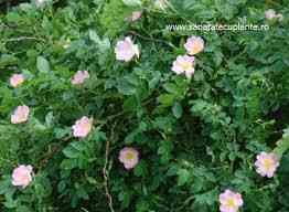 images_6.jpg